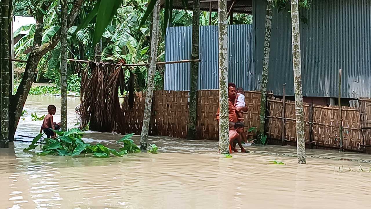 তিস্তায় পানি বাড়ায় নিম্নাঞ্চল প্লাবিত