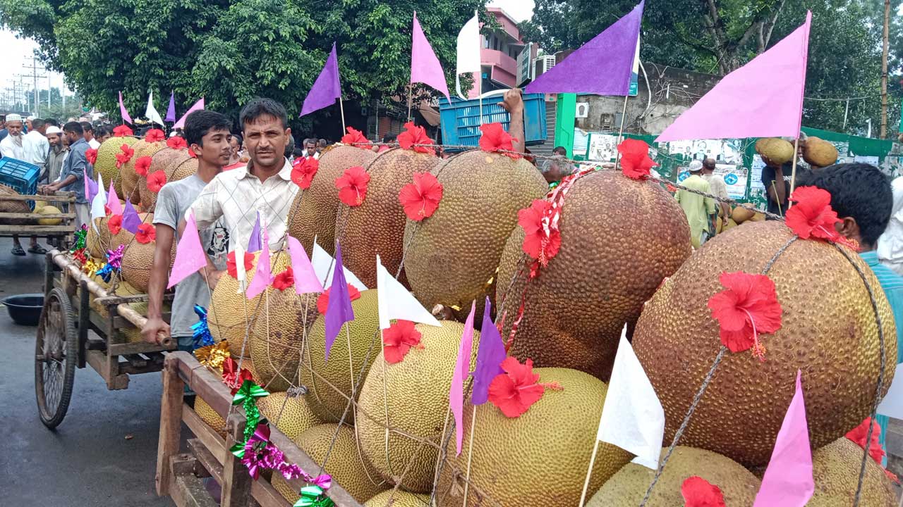 ঢাকঢোল পিটিয়ে হাটে গেল কাঁঠাল