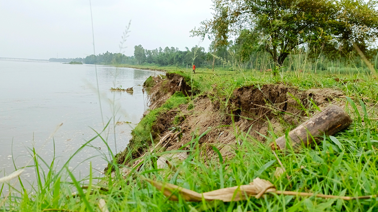 নদী ভাঙতে ভাঙতে অনেকেরই বসতবাড়ির কাছে চলে যাচ্ছে। 