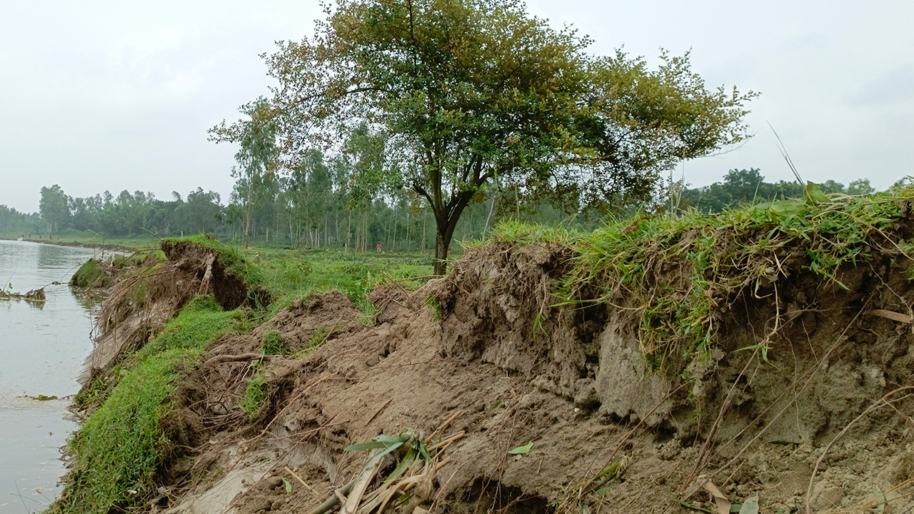 রাতের আঁধারে নদীগর্ভে চলে যাচ্ছে স্থানীয় বাসিন্দাদের পৈতৃক নিবাসের শেষ চিহ্নটুকু।
