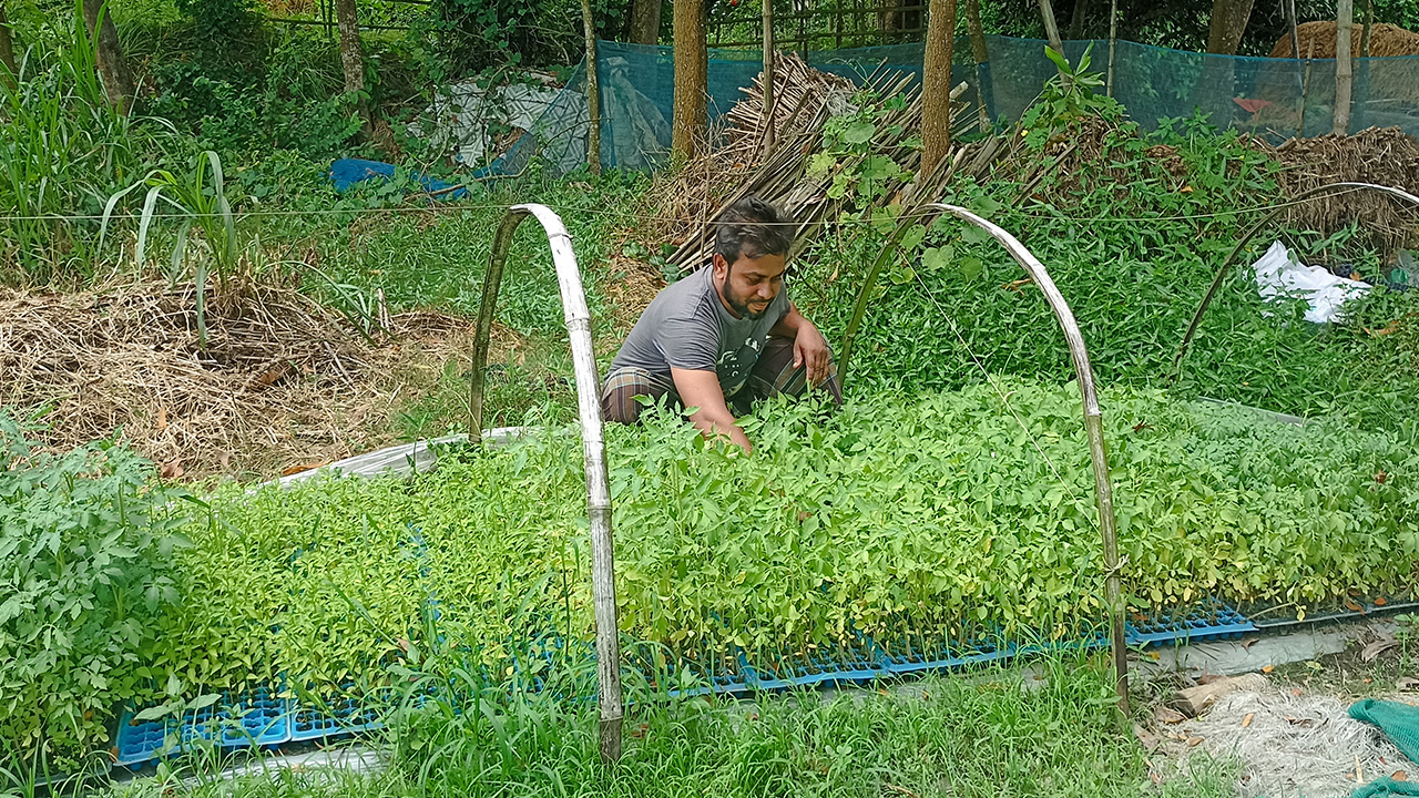 চাষ উপযোগী আবহাওয়া থাকলে লক্ষ্যমাত্রা শতভাগ অর্জিত হবে বলে আশা করছে উপজেলা কৃষি বিভাগ। 