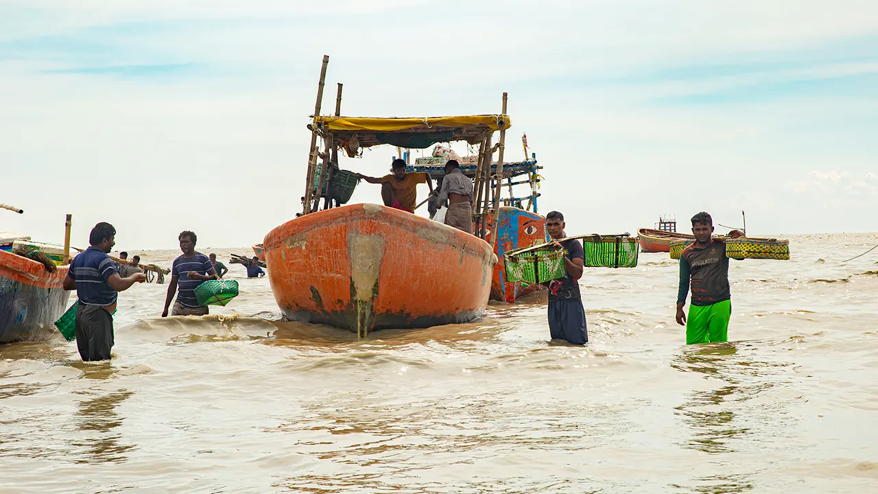 এবার সাগরে ধরা পড়ছে প্রচুর ইলিশ