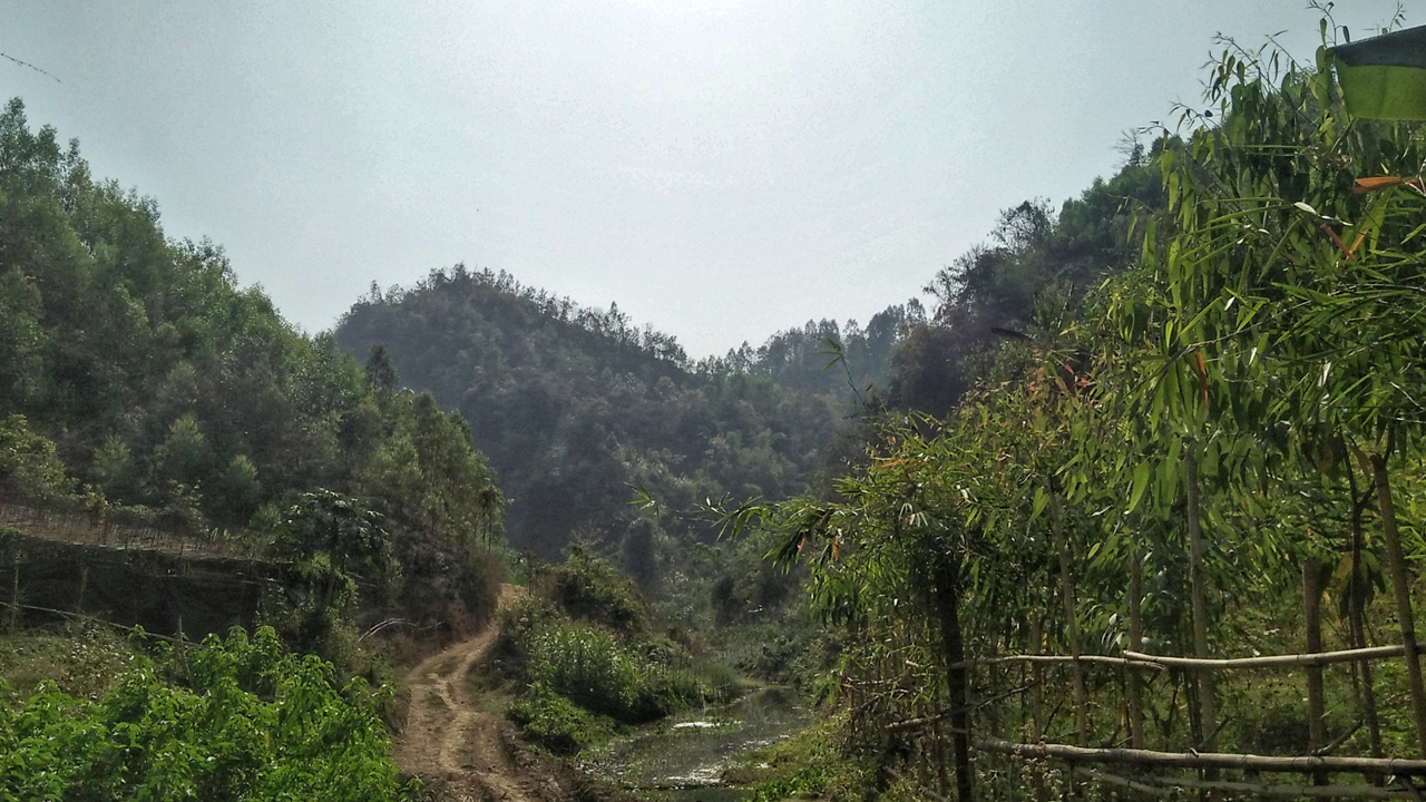 বান্দরবানের পাহাড়ি পথ। ছবি : টি এইচ মাহির