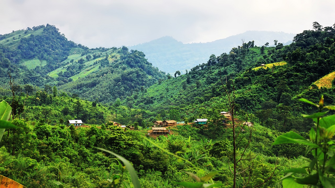 ছবি : সংগৃহীত