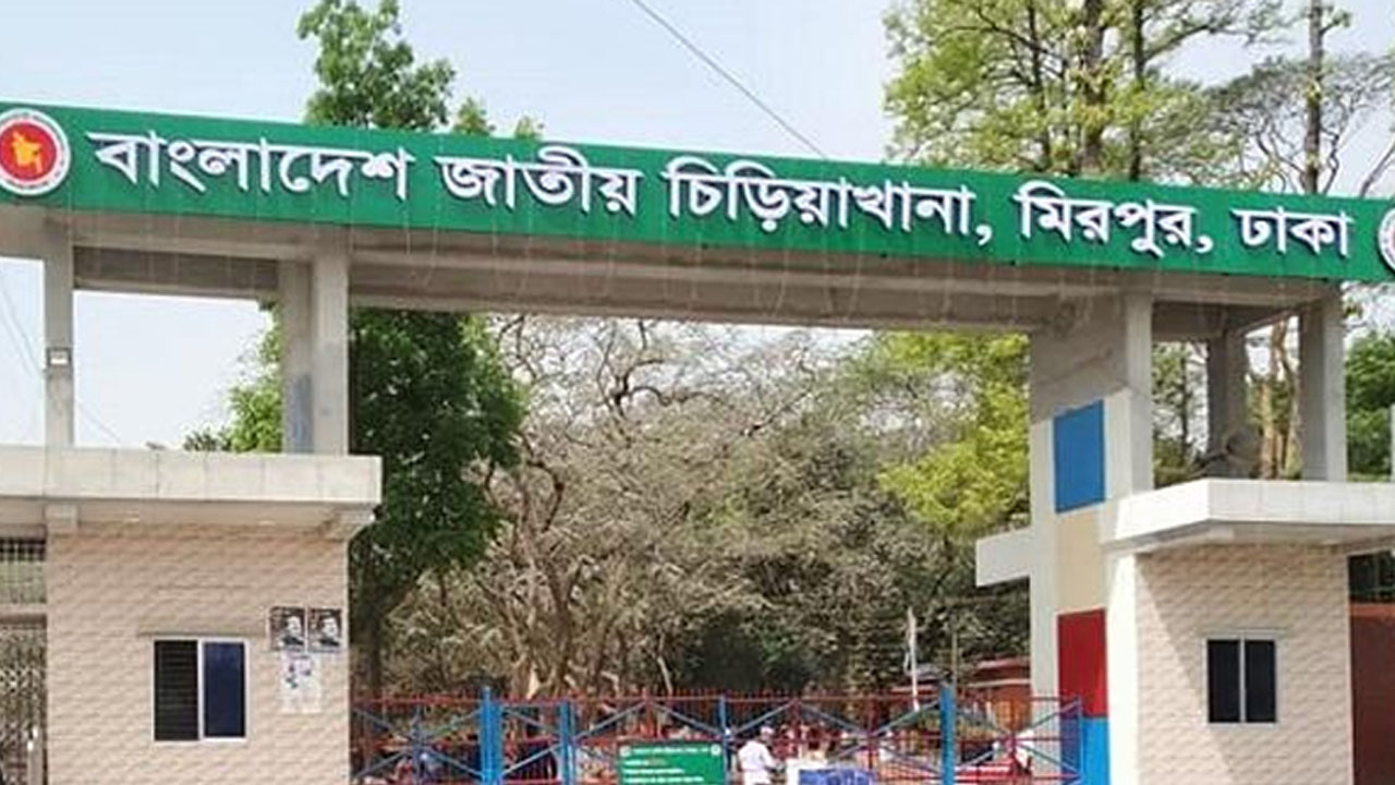 মিরপুর চিড়িয়াখানা।