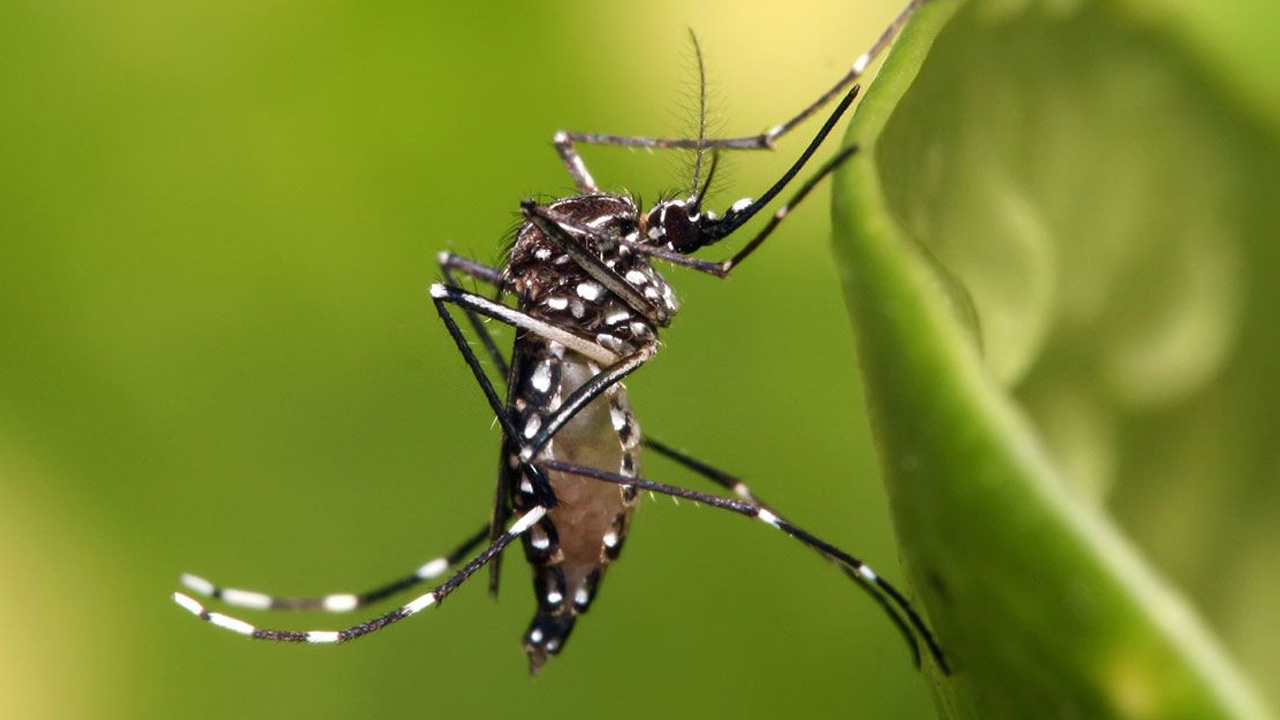 প্রতীকী ছবি