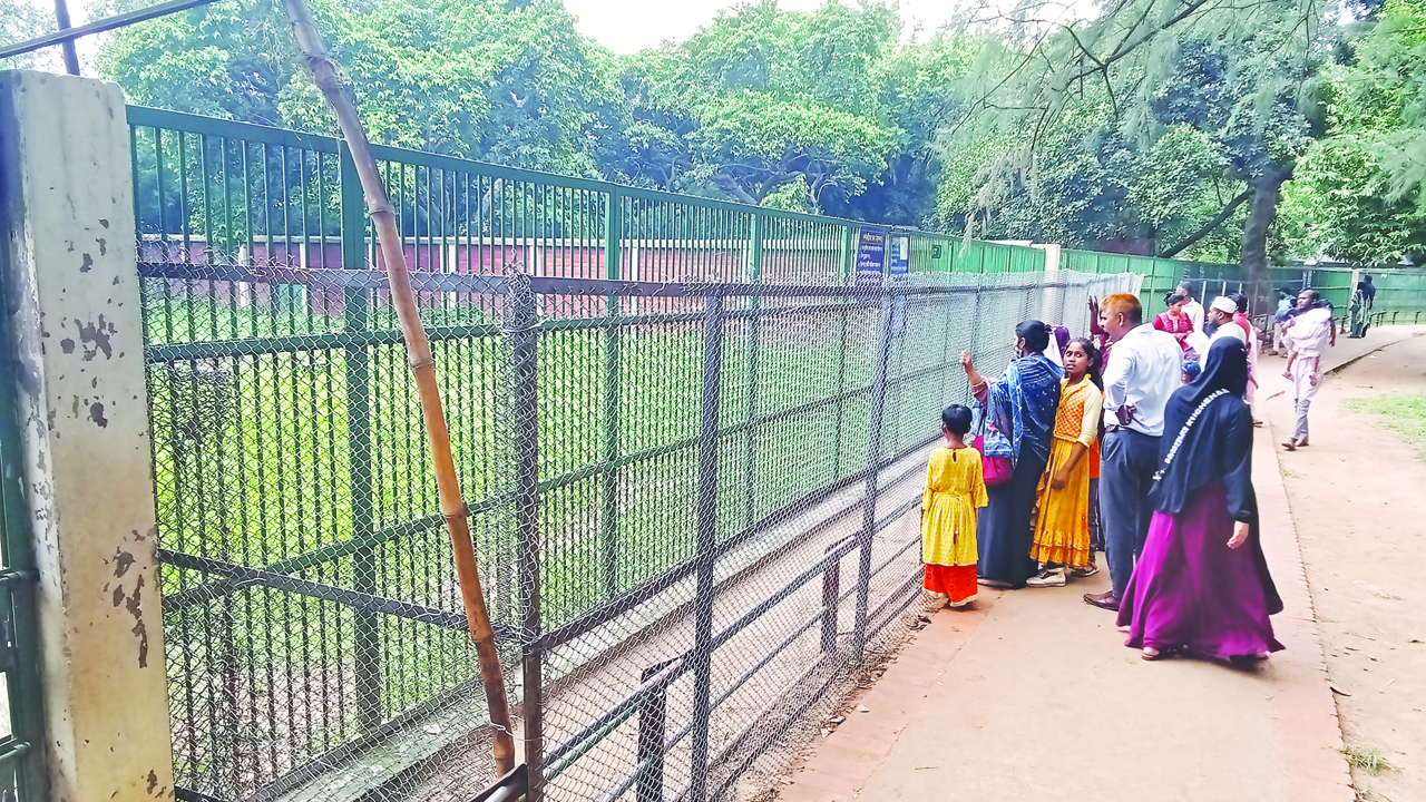 হায়েনার খাঁচার সামনে দেওয়া হয়েছে নতুন ব্যারিকেড। ছবি : কালবেলা