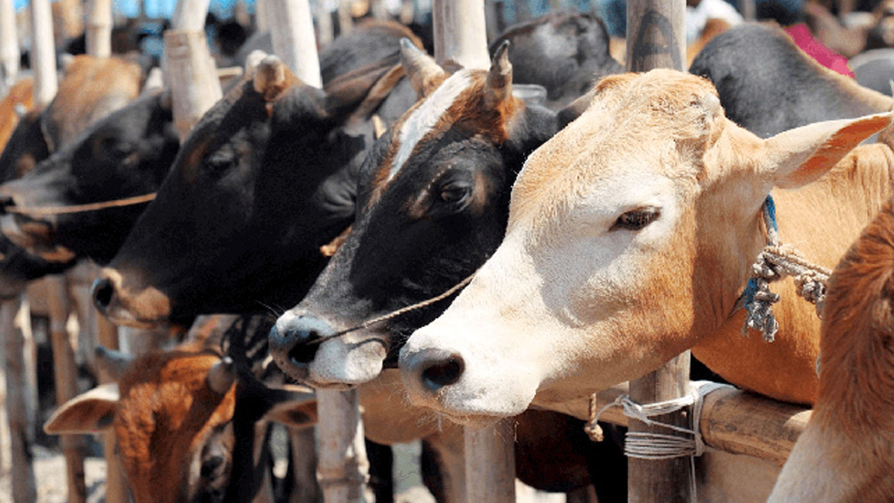 পুরোনো ছবি