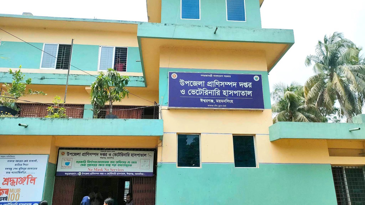 ময়মনসিংহের ঈশ্বরগঞ্জ উপজেলা প্রাণিসম্পদ দপ্তর ও ভেটেরিনারি হাসপাতাল। ছবি : কালবেলা