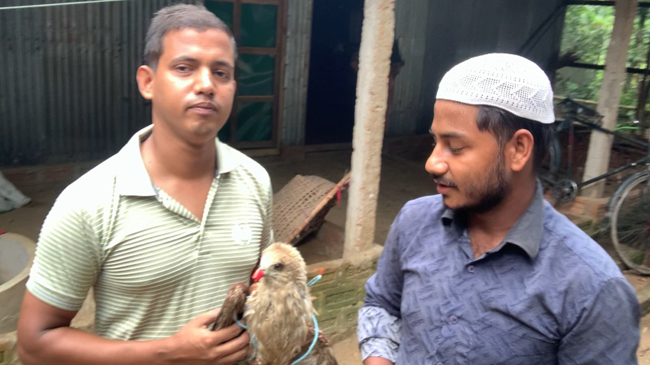 উদ্ধারকৃত ঈগল