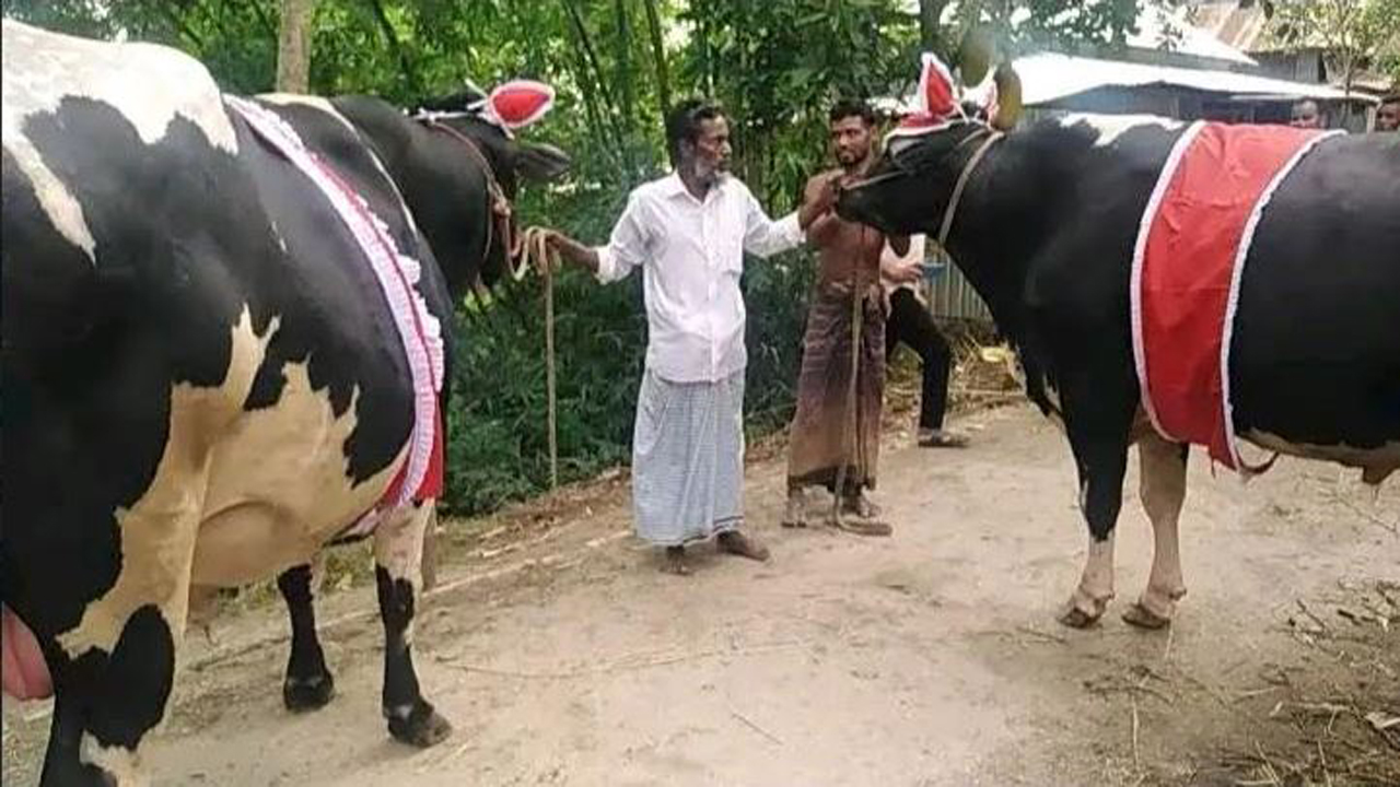 রাজা ও বাদশা