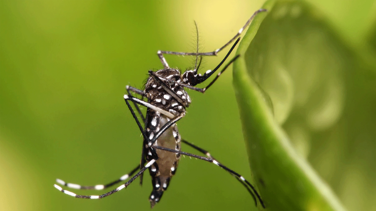 প্রতীকী ছবি