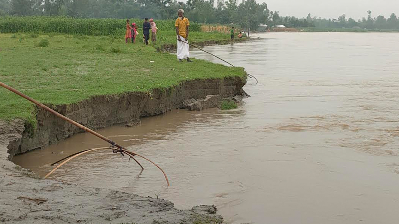 কয়েকদিনের বৃষ্টিতে পাড় ভেঙে যাচ্ছে। ছবি : কালবেলা
