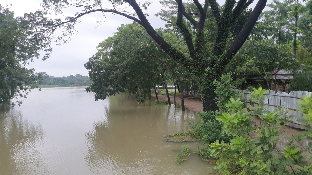 পানিতে তলিয়ে গেছে সড়ক