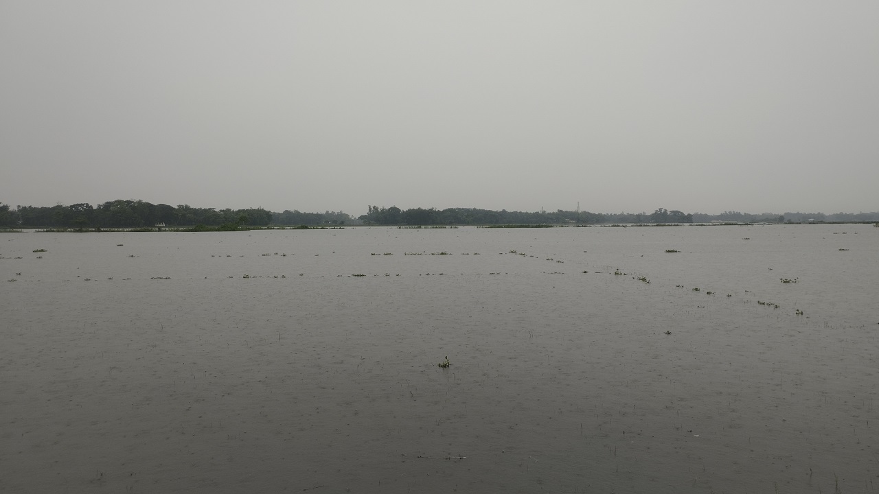 পাহাড়ি ঢলের পানিতে মৌলভীবাজারে জেলার নিম্নাঞ্চল প্লাবিত। ছবি : কালবেলা