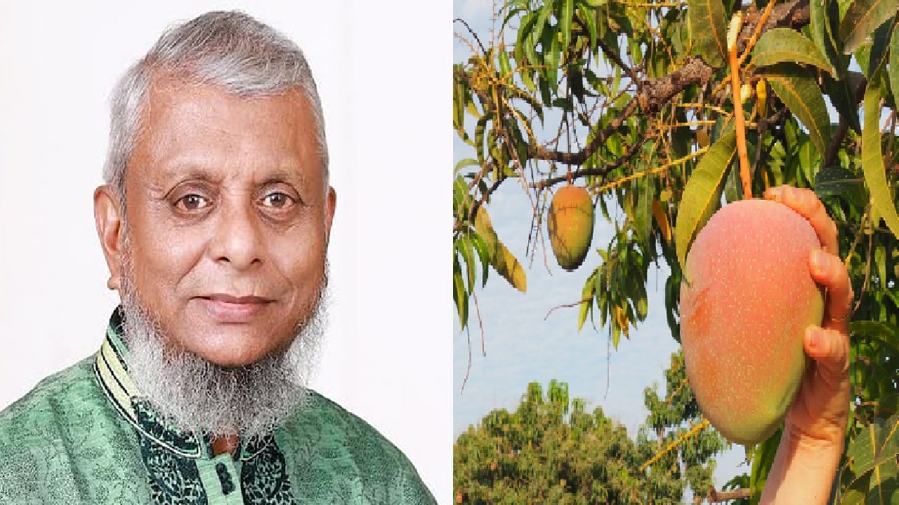 ছবি : সংগৃহীত