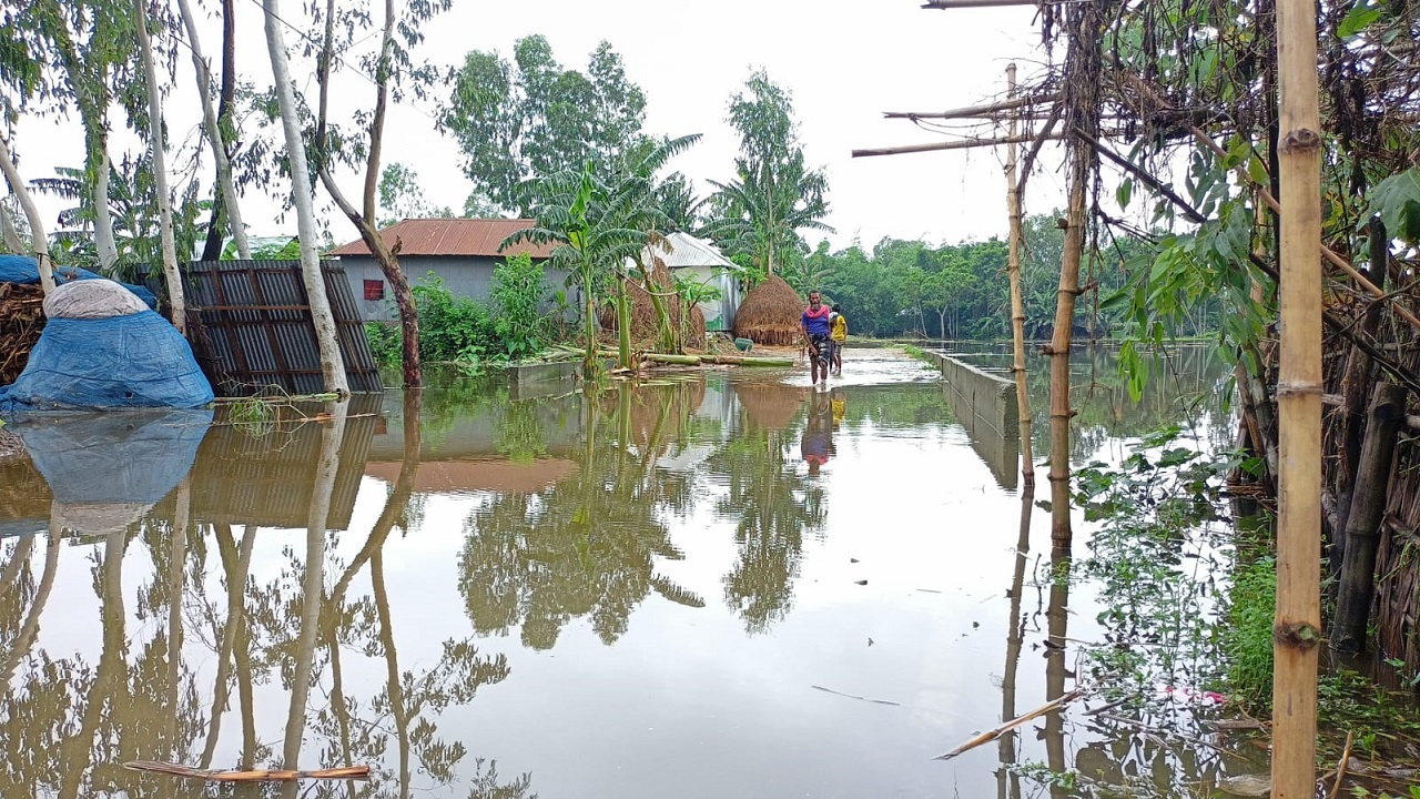 তিস্তা নদীর তীরবর্তী নিম্নাঞ্চল প্লাবিত। ছবি : কালবেলা