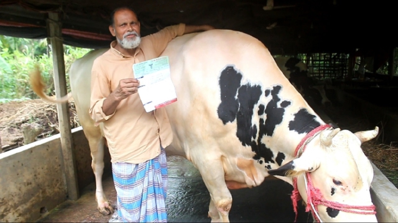 নোয়াখালী কিংয়ের পাশে খামারি মোহাম্মদ উল্লাহ। ছবি : কালবেলা