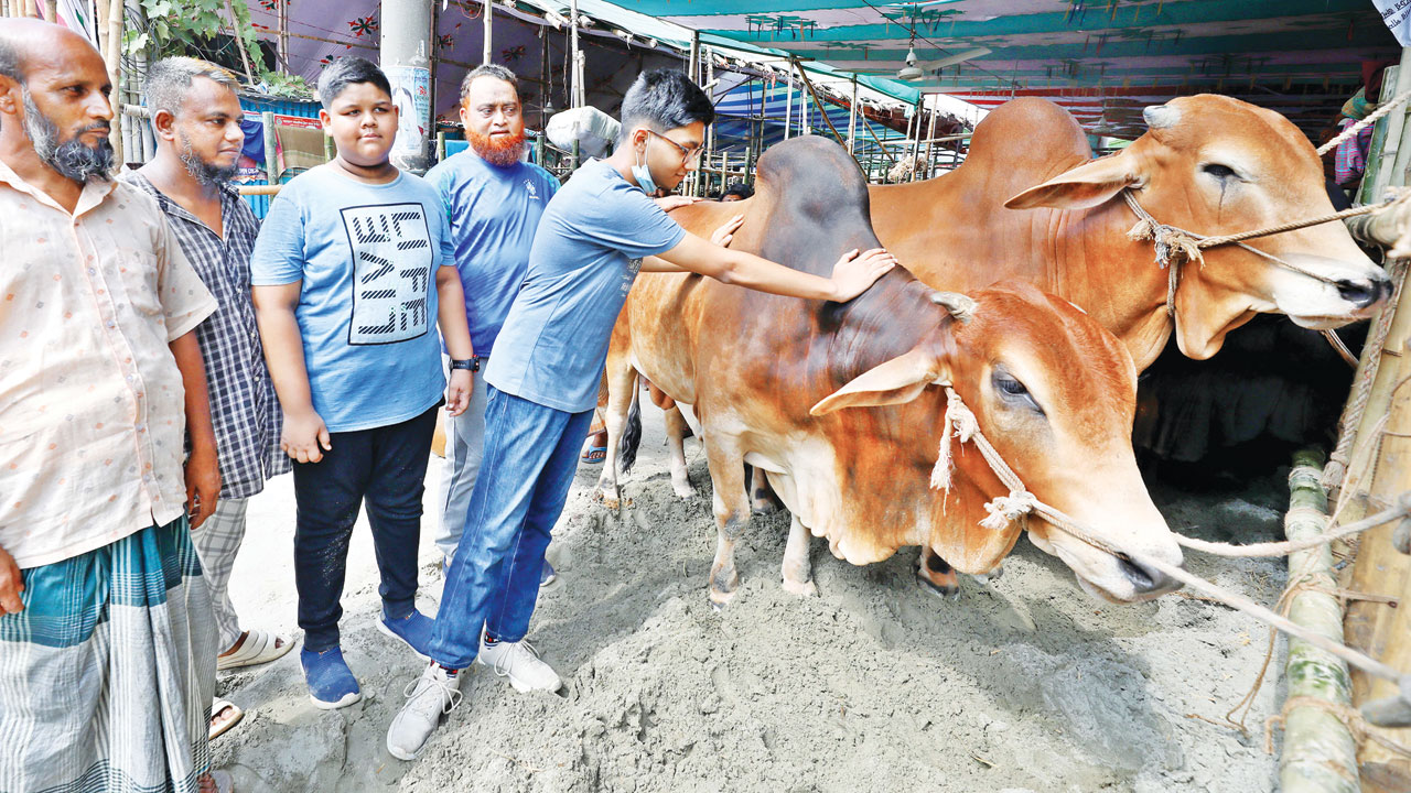 কোরবানি ঈদের বাকি আর চার দিন। তাই ক্রেতারা হাটে এসে পছন্দের গরু দেখছেন, দামদর করছেন। ছবিটি রাজধানীর গাবতলীর স্থায়ী হাট থেকে তোলা। ছবি : নাসির উদ্দিন