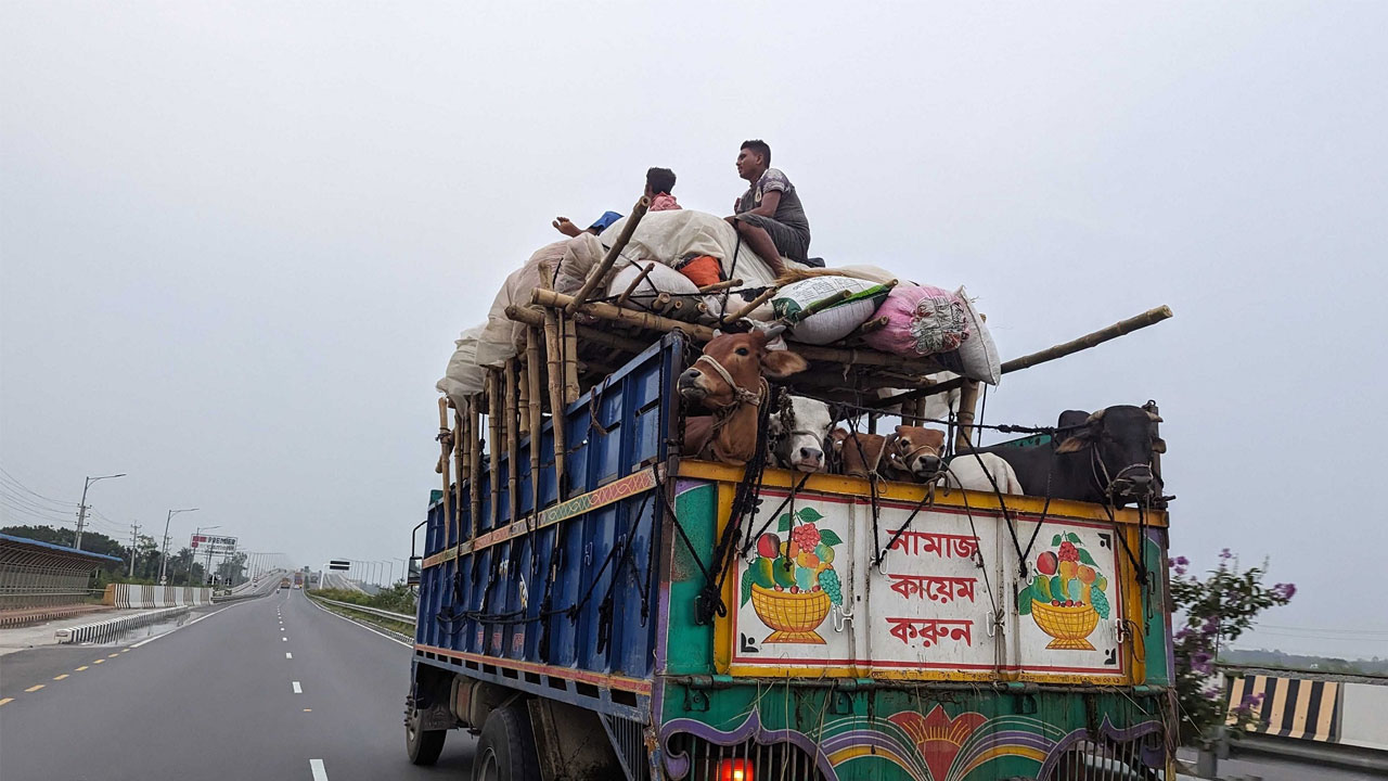 ছবি : সংগৃহীত