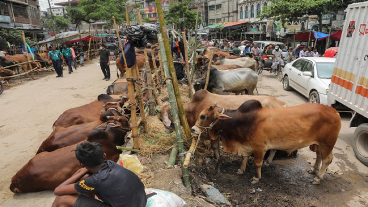 রাজধানীর সড়কে বসেছে পশুর হাট। ছবি : সংগৃহীত