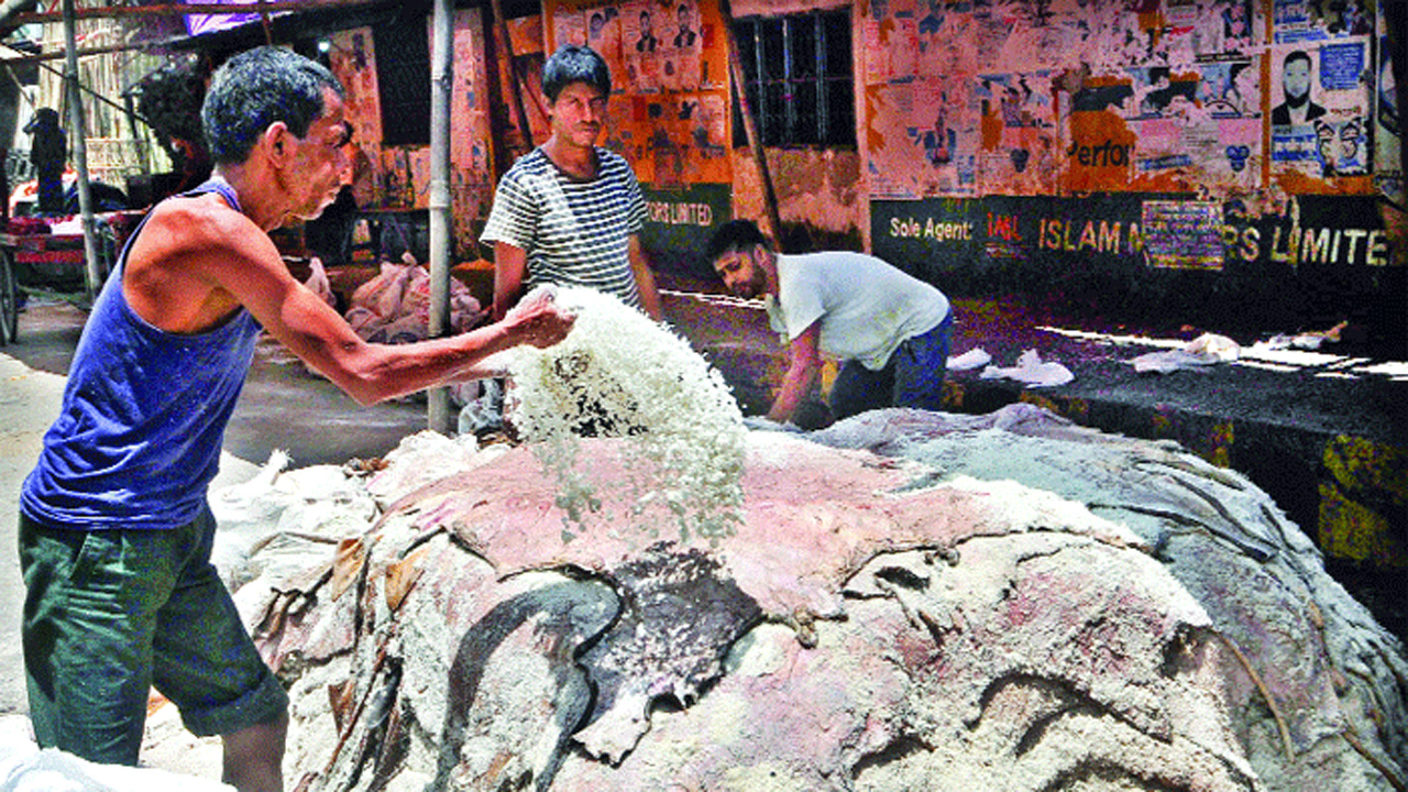 চামড়ায় লবণ দেওয়া হচ্ছে। ছবি: সংগৃহীত
