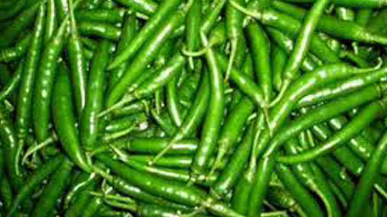 প্রতীকী ছবি