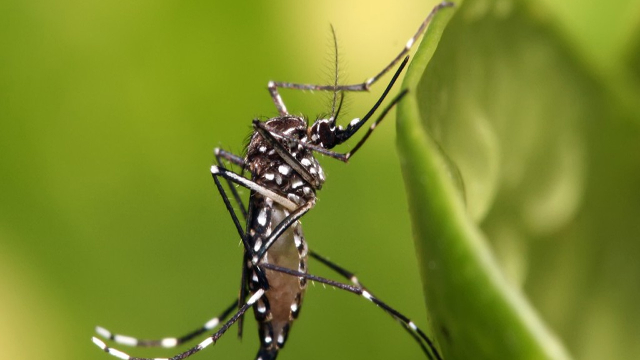 প্রতীকী ছবি