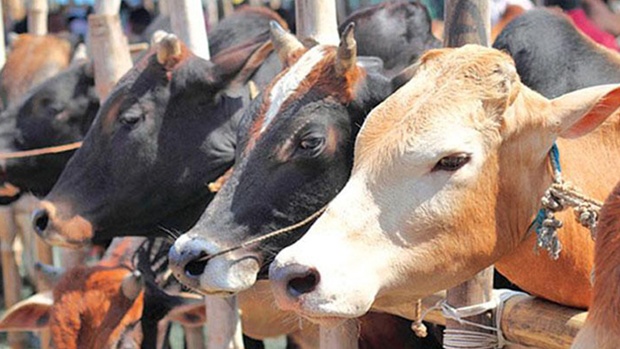 পুরোনো ছবি