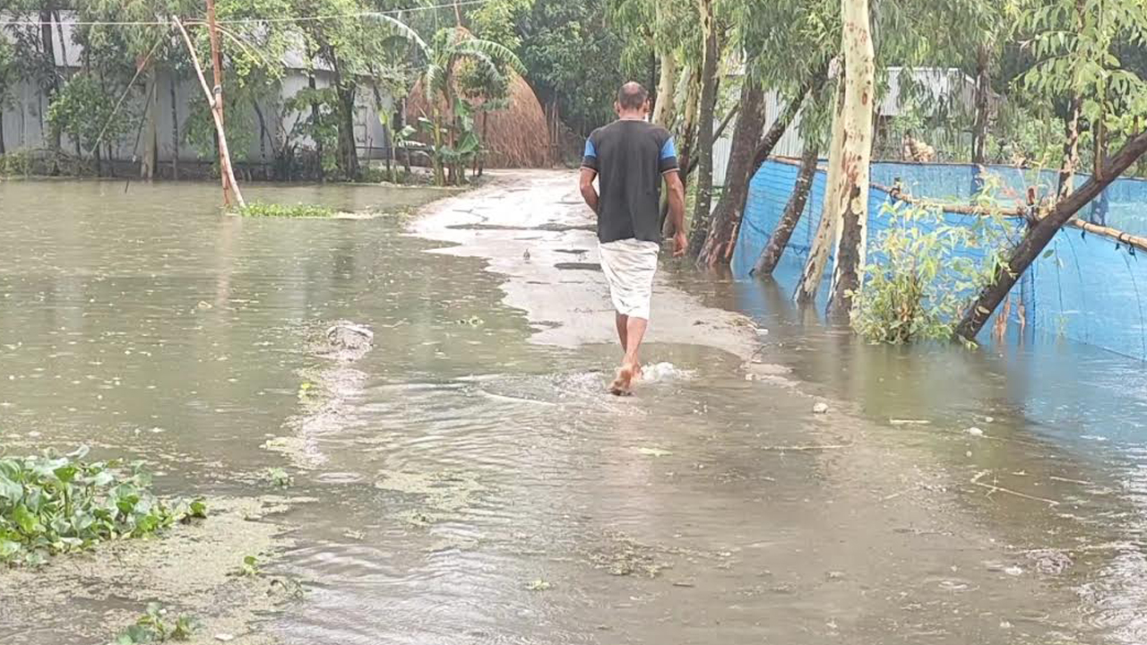 তিস্তার পানি বিপৎসীমার উপর দিয়ে প্রবাহিত হওয়ায় নদী তীরবর্তী নিম্নাঞ্চলে পানি প্রবেশ করেছে। ছবি : সংগৃহীত