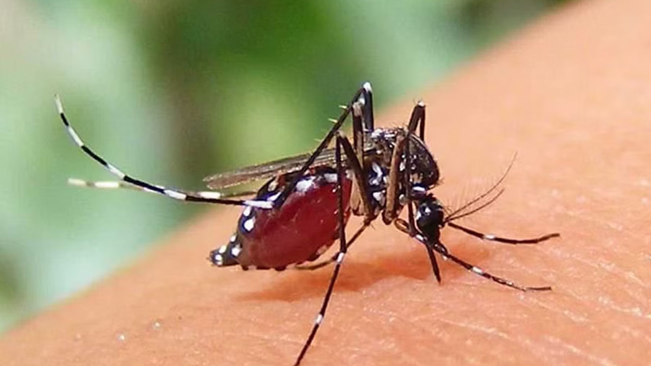 প্রতীকী ছবি