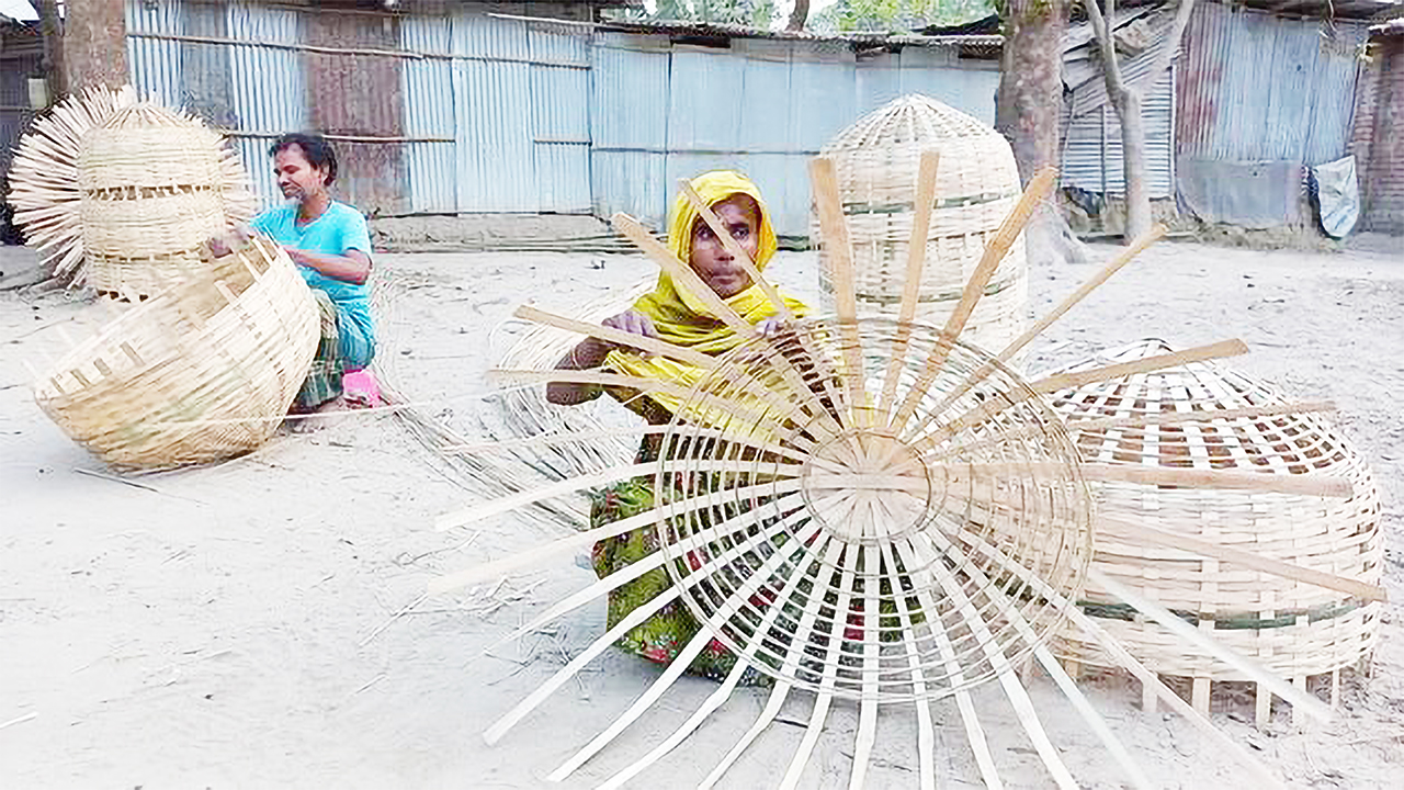 দিনাজপুরের বিরামপুর উপজেলার হরেকৃষ্টপুর ইসলামপাড়ার বাড়িতে বাঁশের খাঁচা বুনছেন জোছনা বেগম। ছবি : কালবেলা