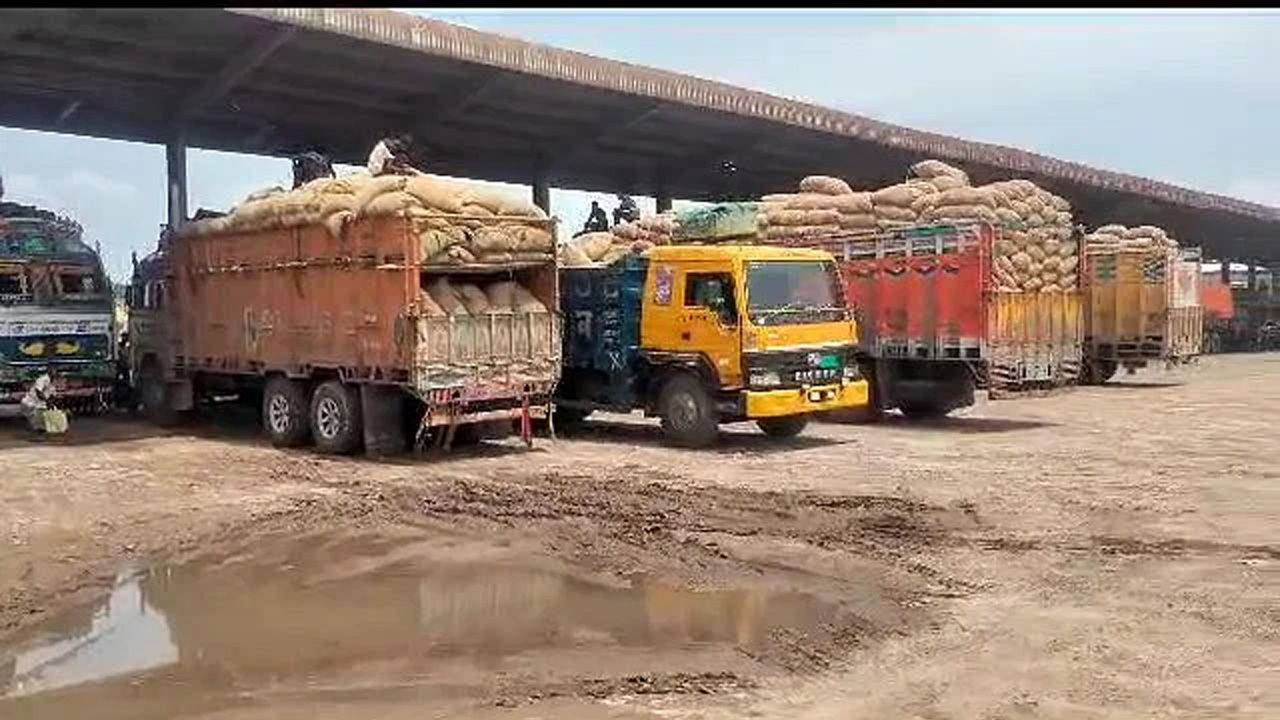 ভারতীয় কাঁচামরিচ ভর্তি ছয়টি ট্রাক ভোমরা স্থলবন্দর দিয়ে প্রবেশ করে। ছবি : সংগৃহীত