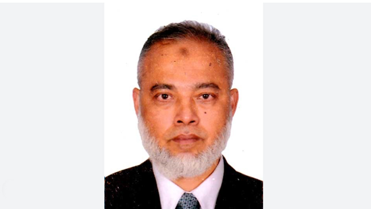 সৈয়দ মঈনুল হাসান। ছবি: সংগৃহীত