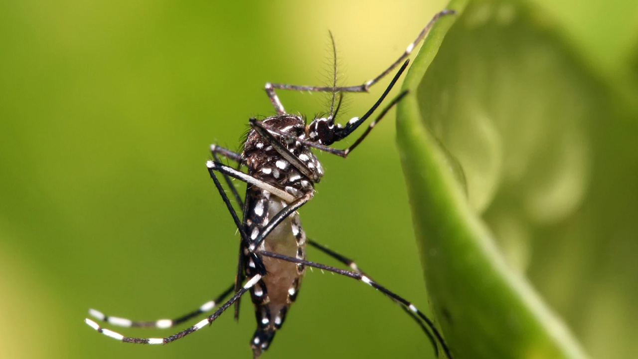 প্রতীকী ছবি