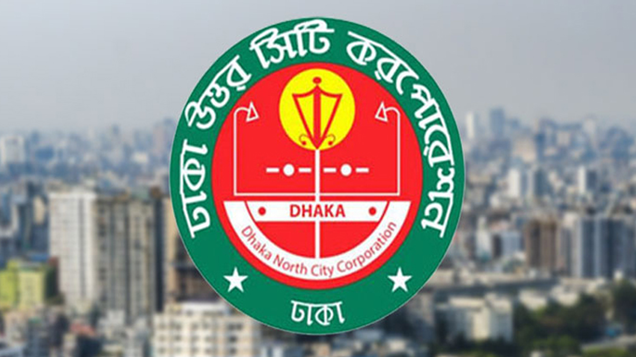 ডিএনসিসি