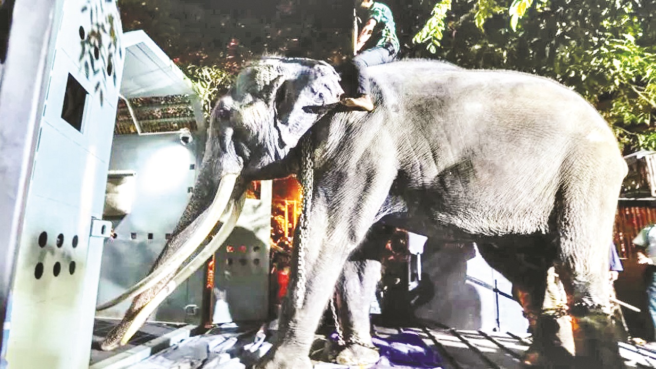 ছবি : সংগৃহীত