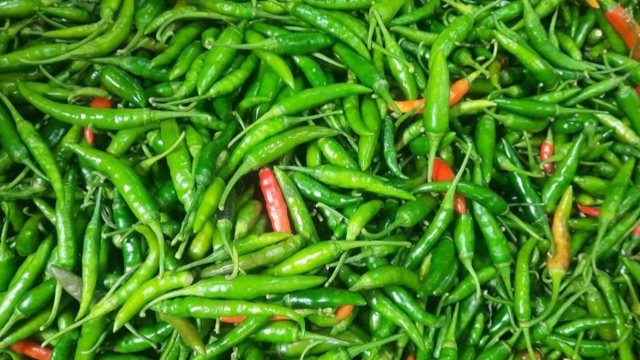 পুরোনো ছবি