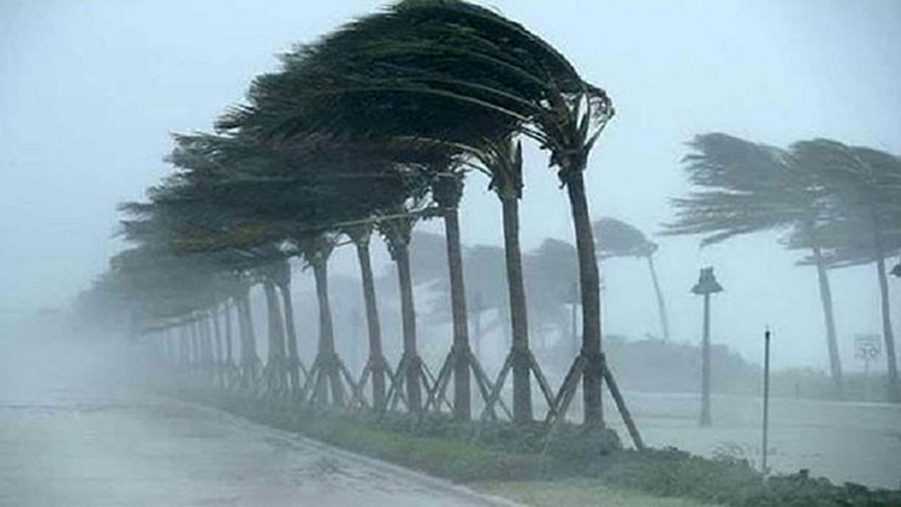 প্রতীকী ছবি।