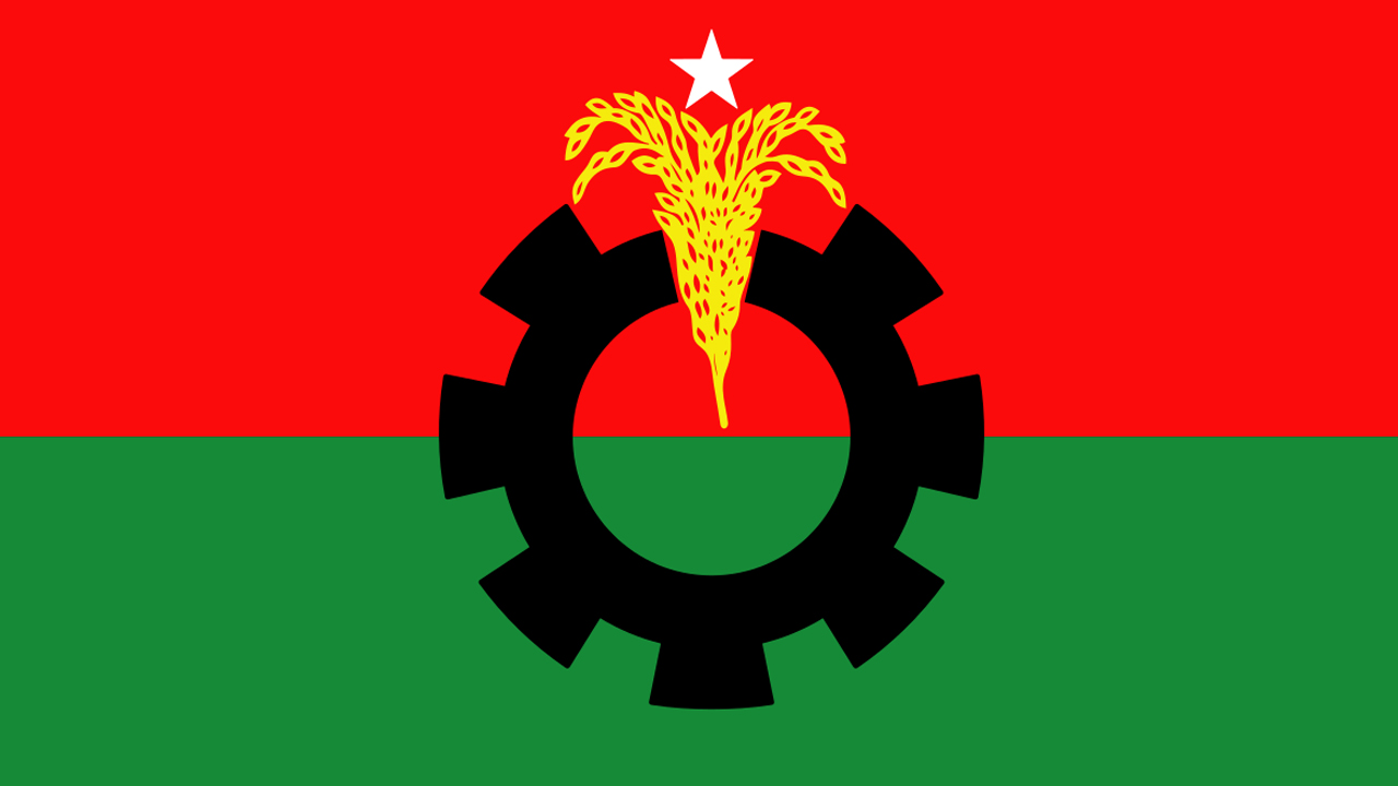 বিএনপির দলীয় পতাকা। ফাইল ছবি