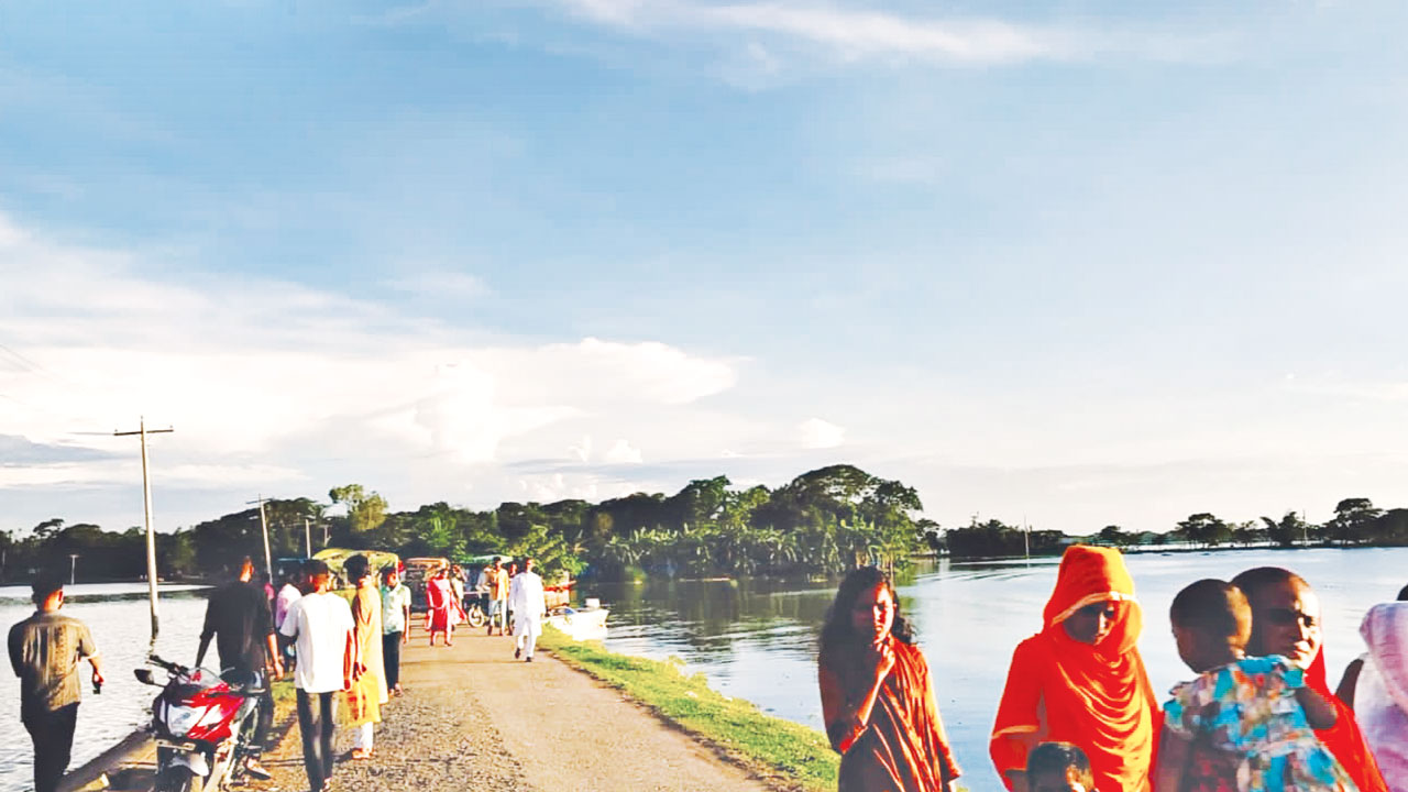 মোহনগঞ্জে ধনপুর-বার্ত্তকোনা সড়কের দুধারে বিলের সৌন্দর্য দেখতে ভ্রমণপিপাসুর ভিড়। ছবি : কালবেলা