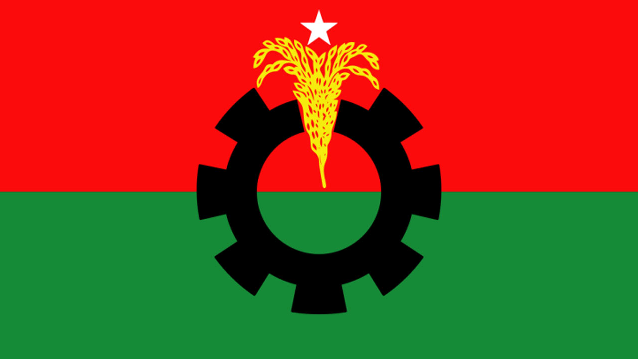 বিএনপির দলীয় পতাকা