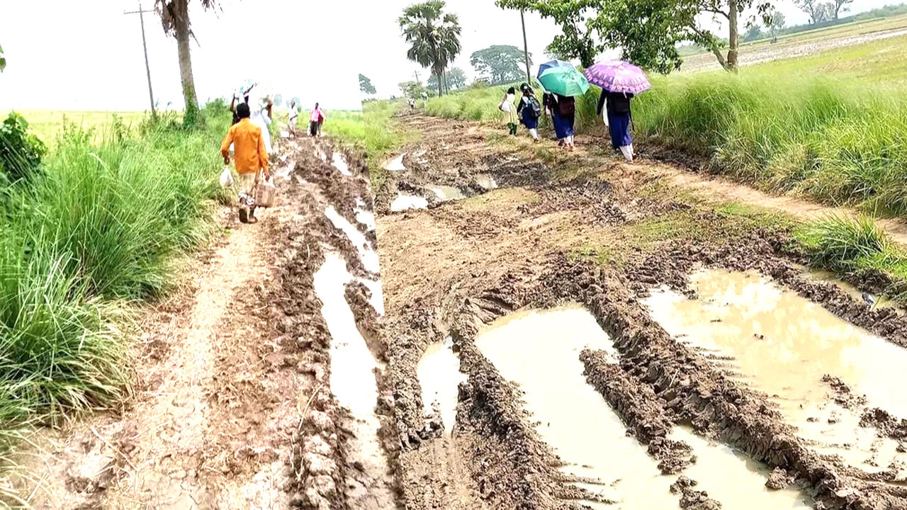 তাড়াশের আঞ্চলিক সড়কের প্রায় চার কিলোমিটার বেহাল দশা। ছবি : কালবেলা