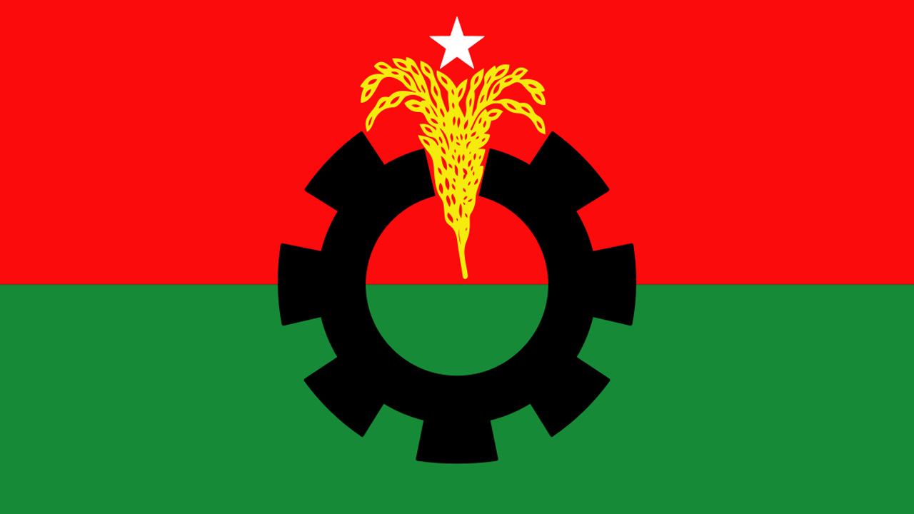 বিএনপির লোগো।