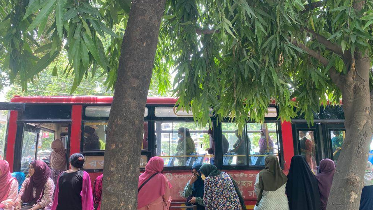 ছাত্রলীগের কর্মসূচিতে আসা ইডেন কলেজের ছাত্রীরা নামছেন বাস থেকে। ছবি : কালবেলা