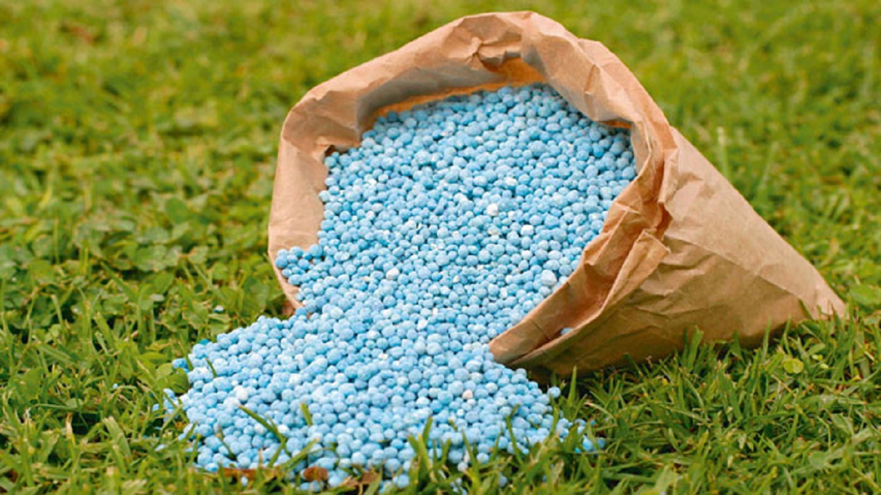 প্রতীকী ছবি