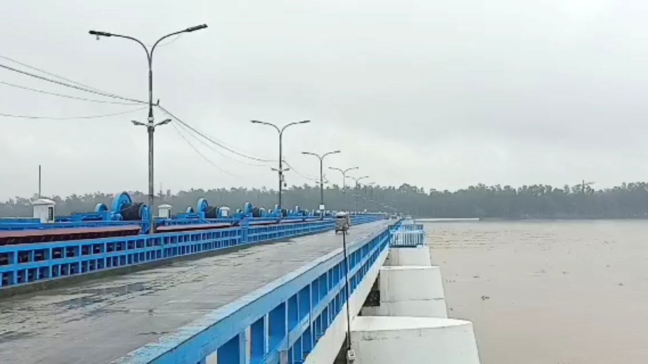 ছবি : সংগৃহীত