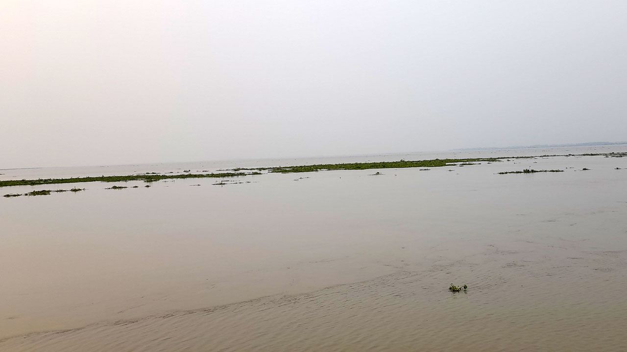 যমুনার পানি বৃদ্ধি অব্যাহত। ছবি : সংগৃহীত