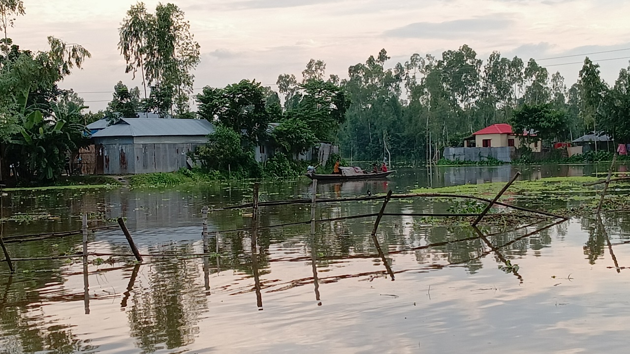 ব্রহ্মপুত্রের পানিতে কুড়িগ্রামের চিলমারী এলাকা প্লাবিত। ছবি : কালবেলা