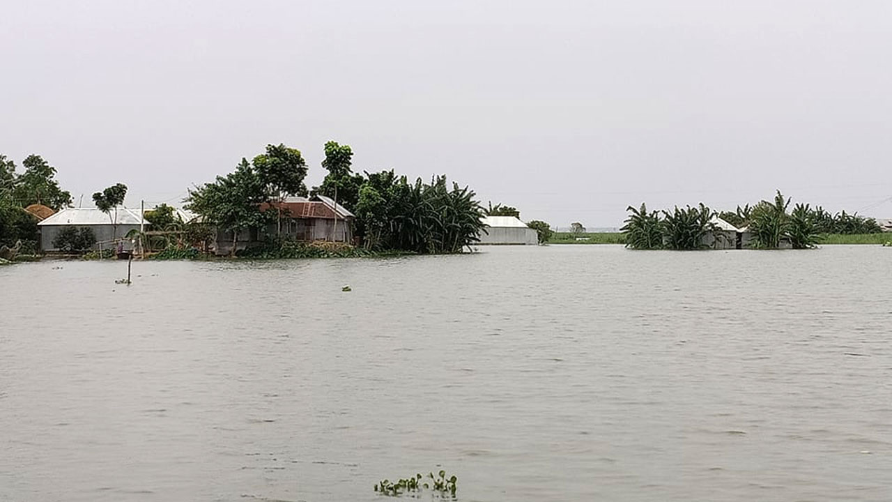 সিরাজগঞ্জে যমুনার পানি বেড়েছে। ছবি : কালবেলা